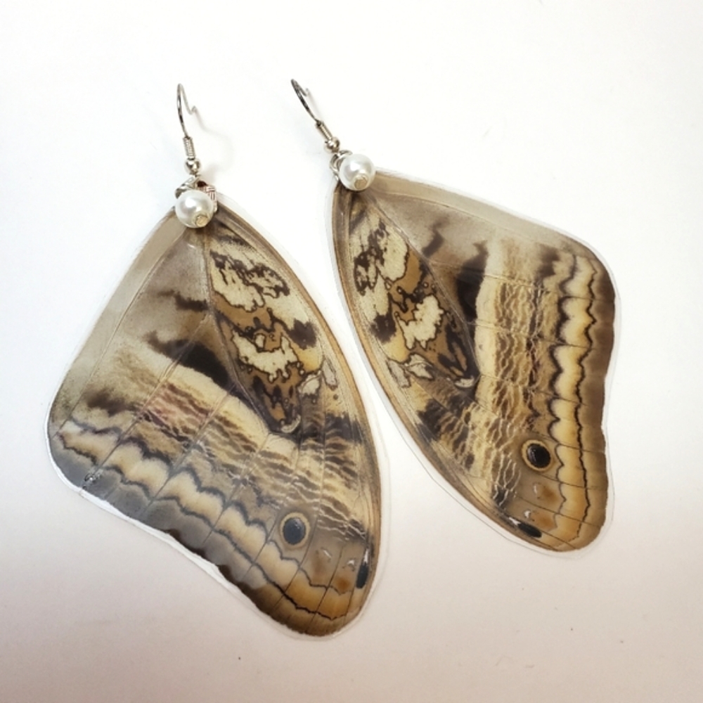 Butterfly wing earrings